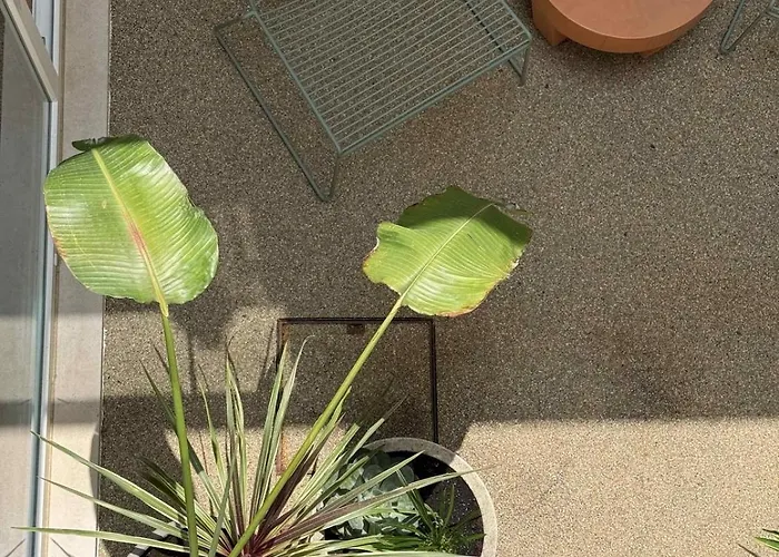 Volta Do Patio Lägenhet Oporto